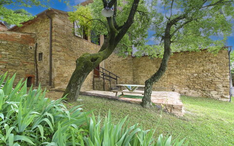 Olivo: Gras, Haus, Zuhause, Ländliches Gebiet, Hütte, Bauernhaus, Estate, Wiese, Rasen, Landscaping