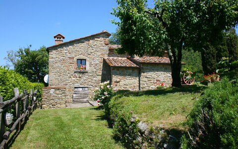 Torre di Vignale: Pflanze, Himmel, Gebäude, Baum, Natürliche Landschaft, Fenster, Grundstueck, Haus, Hütte, Freizeit