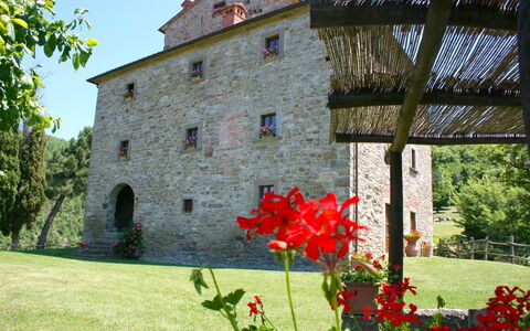 Torre di Vignale: Blume, Pflanze, Gebäude, Eigentum, Fenster, Blütenblatt, Himmel, Baum, Vegetation, Gras