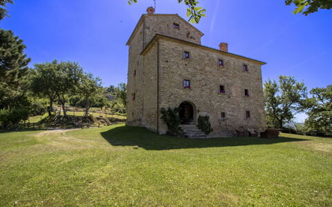Torre di Vignale: Baum, Landschaft, Grundstueck, Ländliches Gebiet, Park