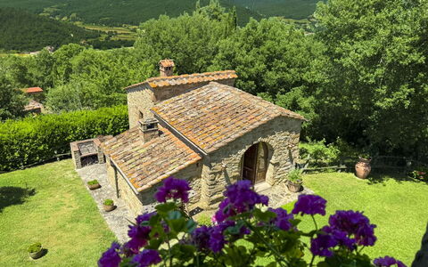 Torre di Vignale: Baum, Landschaft, Grundstueck, Ländliches Gebiet, Park