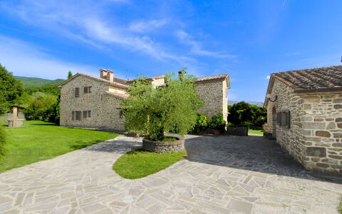 Casale Lorenzo: Baum, Einfach, Grundstueck, Rasen, Garten, Estate, Wiese, Landscaping, Garten, Bauernhaus