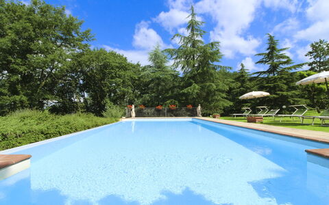 Villa Cecilia: Haus, Zuhause, Estate, Hütte, Rasen, Garten, Landscaping, Bauernhaus, Hazienda, Garten