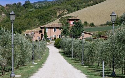 Cavalieri