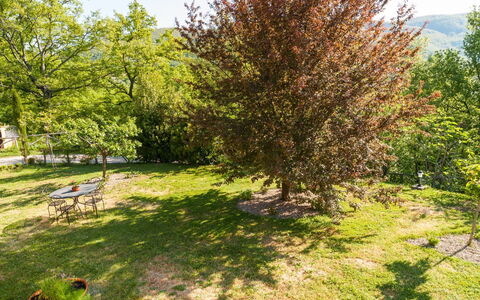 Casa la Primula: Pflanze, Pflanzengemeinschaft, Grün, Ast, Natürliche Landschaft, Grundstueck, Vegetation, Baum, Gras, Schatten