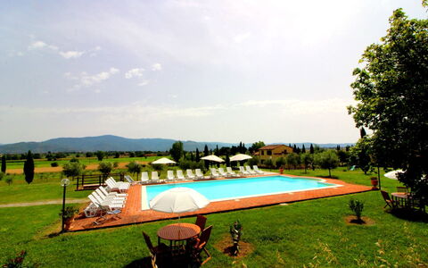 Podere Marcigliano: Himmel, Pflanze, Wolke, Schwimmbad, Natürliche Landschaft, Baum, Schatten, Grundstueck, Freizeit, Gras