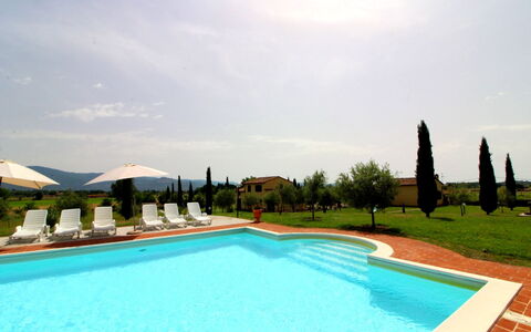 Podere Marcigliano: Wasser, Himmel, Wolke, Pflanze, Schwimmbad, Natur, Baum, Schatten, Rechteck, Gras