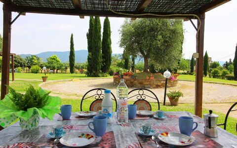 Podere Marcigliano: Geschirr, Tabelle, Pflanze, Eigentum, Grün, Interior Design, Himmel, Textil, Baum, Schatten