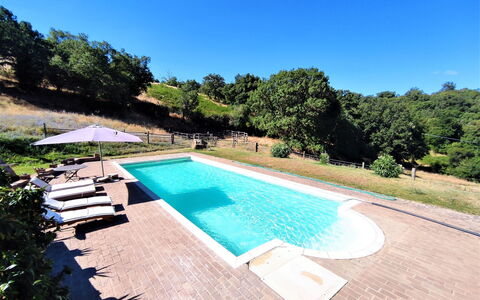 Casalini: Wasser, Himmel, Pflanze, Eigentum, Schwimmbad, Natur, Azurblau, Baum, Rechteck, Gartenmöbel