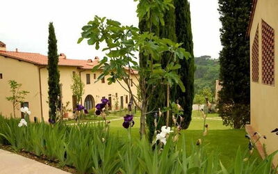 Ginestra