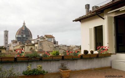 Apartment Oriuolo - Florenz, Toskana, Italien
