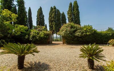 Villa Pedone