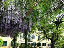Villa Lucchese