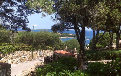 Ippocampo