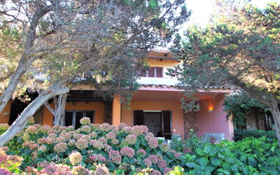 Ippocampo