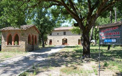 Agriturismo San Clemente - Panzano in Chianti, Toskana, Italien - Malvasia