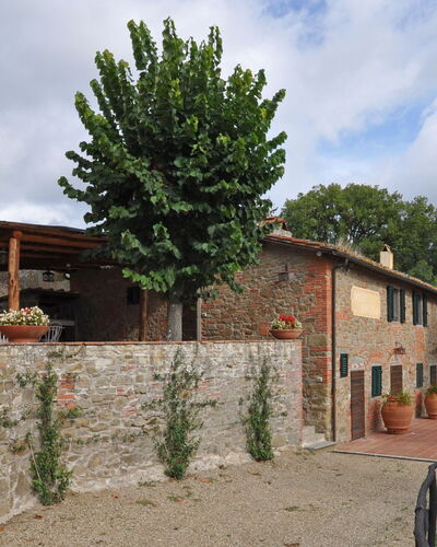 Vecciale
