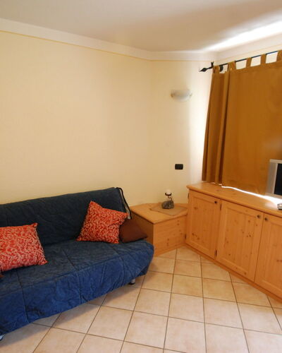 Primula 380.7