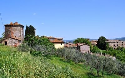 Borgovallesanta - Duddova, Toskana, Italien - L'uliveta