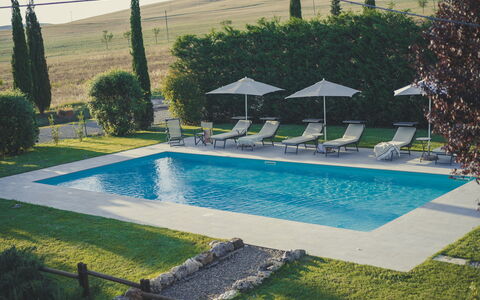 Villa Cassia: Schwimmbad, Eigentum, Freizeit, Haus, Gras, Grundeigentum, Gebäude, Resort, Baum, Die Architektur