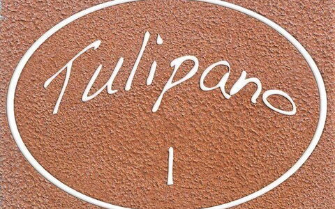 Unterkunft:&nbsp;Tulipano
