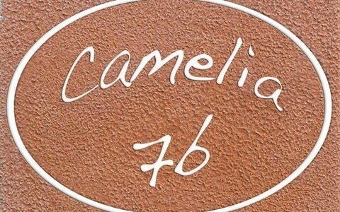 Unterkunft:&nbsp;Camelia
