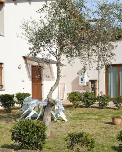 Bouganville 1