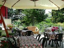 Frühstück unter dem Maulbeerbaum