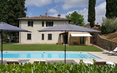 Podere degli Olivi - San Gimignano, Toskana, Italien - Olivo