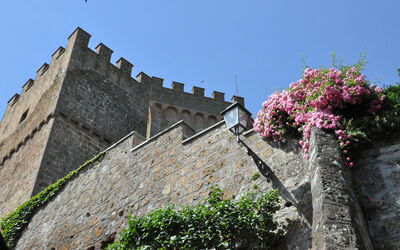 Castello Viterbese