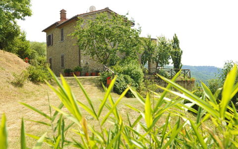 Casetta i Ciliegi: Pflanze, Himmel, Pflanzengemeinschaft, Gebäude, Fenster, Baum, Natürliche Landschaft, Grundstueck, Vegetation, Haus