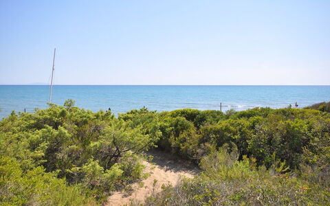 Casamare: Vegetation, Meer, Ufer, Küste, Natürlichen Umgebung, Strand, Ozean, Shrubland, Himmel, Pflanzengemeinschaft