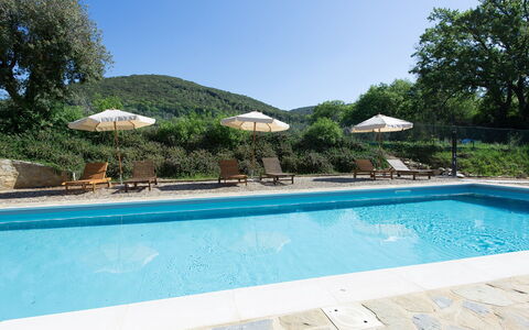 Villa Nova: Schwimmbad, Eigentum, Freizeit, Grundeigentum, Haus, Gebäude, Urlaub, Resort, Villa, Zuhause