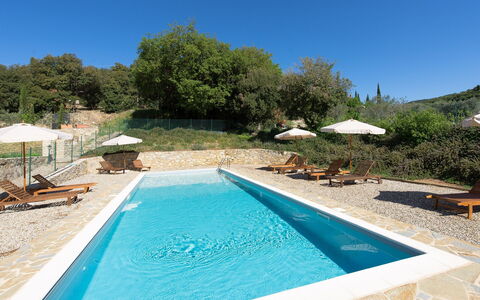 Villa Nova: Schwimmbad, Eigentum, Grundeigentum, Freizeit, Haus, Wasser, Urlaub, Estate, Villa, Baum