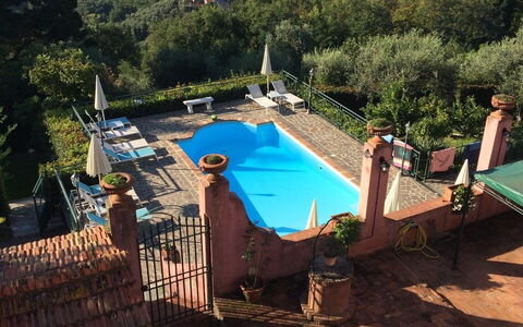 View of the pool from above