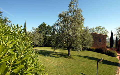 La Valle: Baum, Eigentum, Gras, Haus, Pflanze, Garten, Gehölz, Botanik, Grundeigentum, Graspflanze