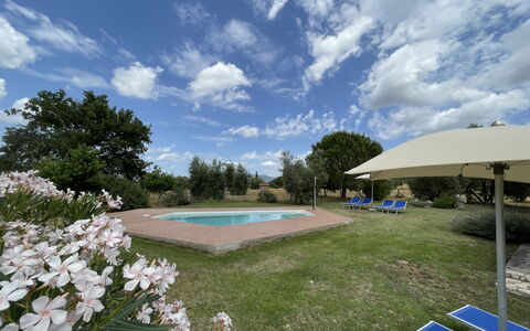 Funghi 1: Wolke, Himmel, Pflanze, Blume, Schwimmbad, Wasser, Baum, Gras, Gartenmöbel, Schatten