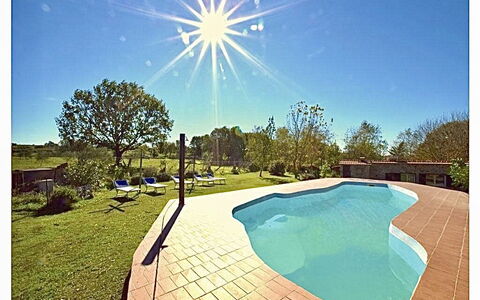 Funghi 2: Wasser, Himmel, Pflanze, Natur, Azurblau, Schwimmbad, Gras, Baum, Schatten, Rechteck