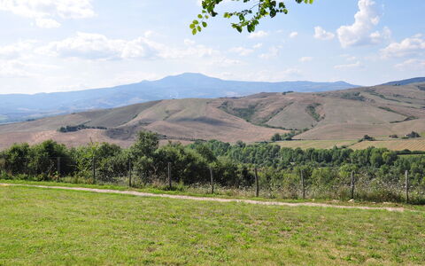 Le Querce Di Campocane: Wiese, Bergforms, Hügel, Natürlichen Umgebung, Weide, Hochland, Berg, Himmel, Natürliche Landschaft, Einfach