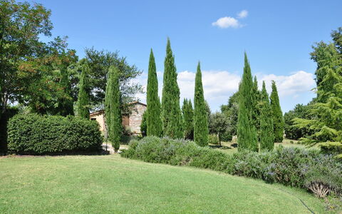 Le Querce Di Campocane: Baum, Gras, Garten, Thuya, Strauch, Rasen, Pflanze, Botanischer Garten, Eigentum, Gehölz