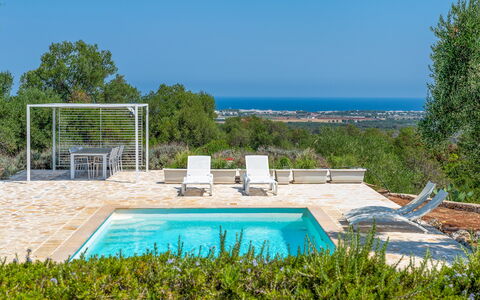 Villa Butterfly: Blau, Garten, Schatten, Landscaping, Design, Resort, Gartenmöbel, Hinterhof, Eco Hotel