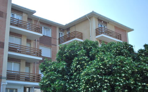 Marina Di Castagneto: Wohngebiet, Eigentum, Zuhause, Gebäude, Grundeigentum, Haus, Nachbarschaft, Wohnung, Die Architektur, Eigentumswohnung