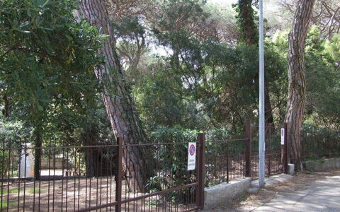 Appartamento - Le Finestre: Baum, Eigentum, Zaun, Gehölz, Grundeigentum, Pflanze, Grundstueck, Haus, Wald, Landschaft