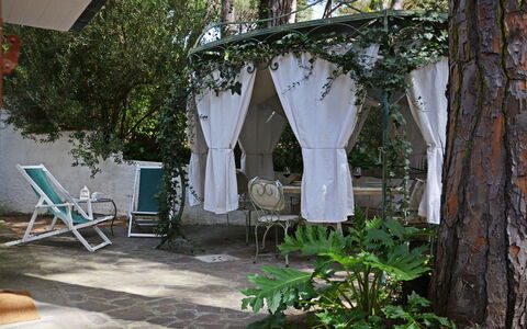 Villa Pineta: Möbel, Stuhl, Gartenmöbel, Schatten, Garten, Tisch Im Freien, Outdoor Struktur, Hinterhof, Garten, Terrasse