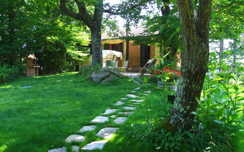 Villa La Quercia: Natürliche Landschaft, Natur, Grün, Garten, Vegetation, Gras, Eigentum, Baum, Garten, Hinterhof